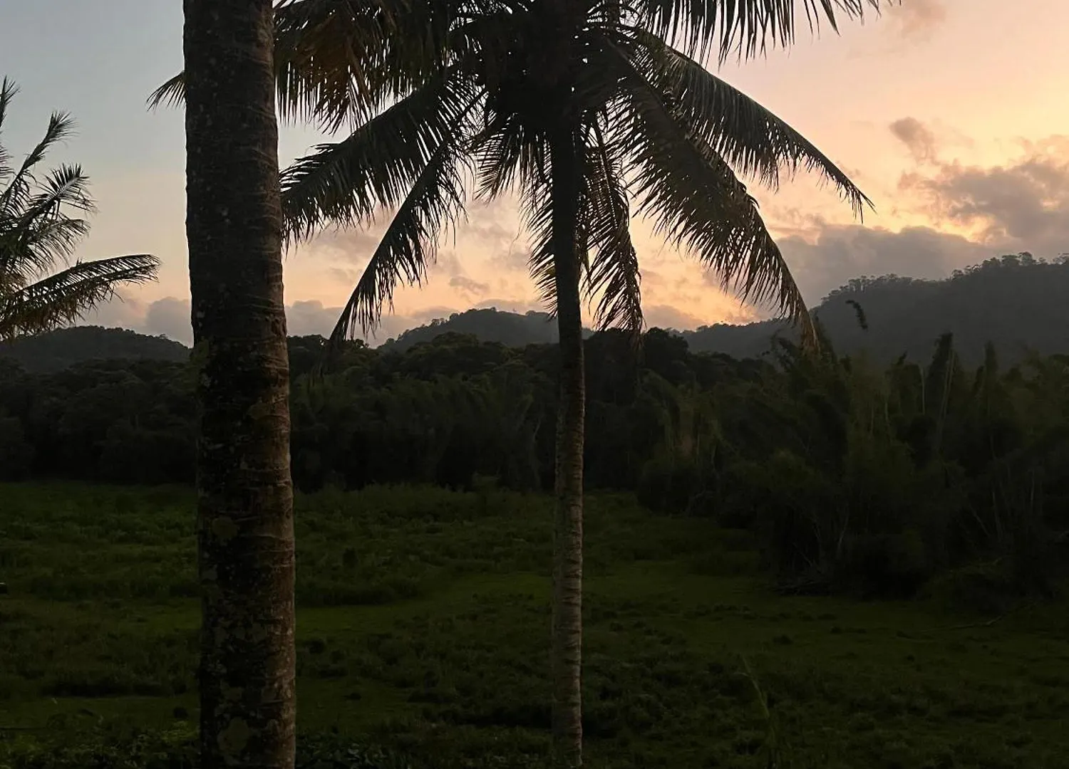 Green Valley Home Stay Thekkady Homestay